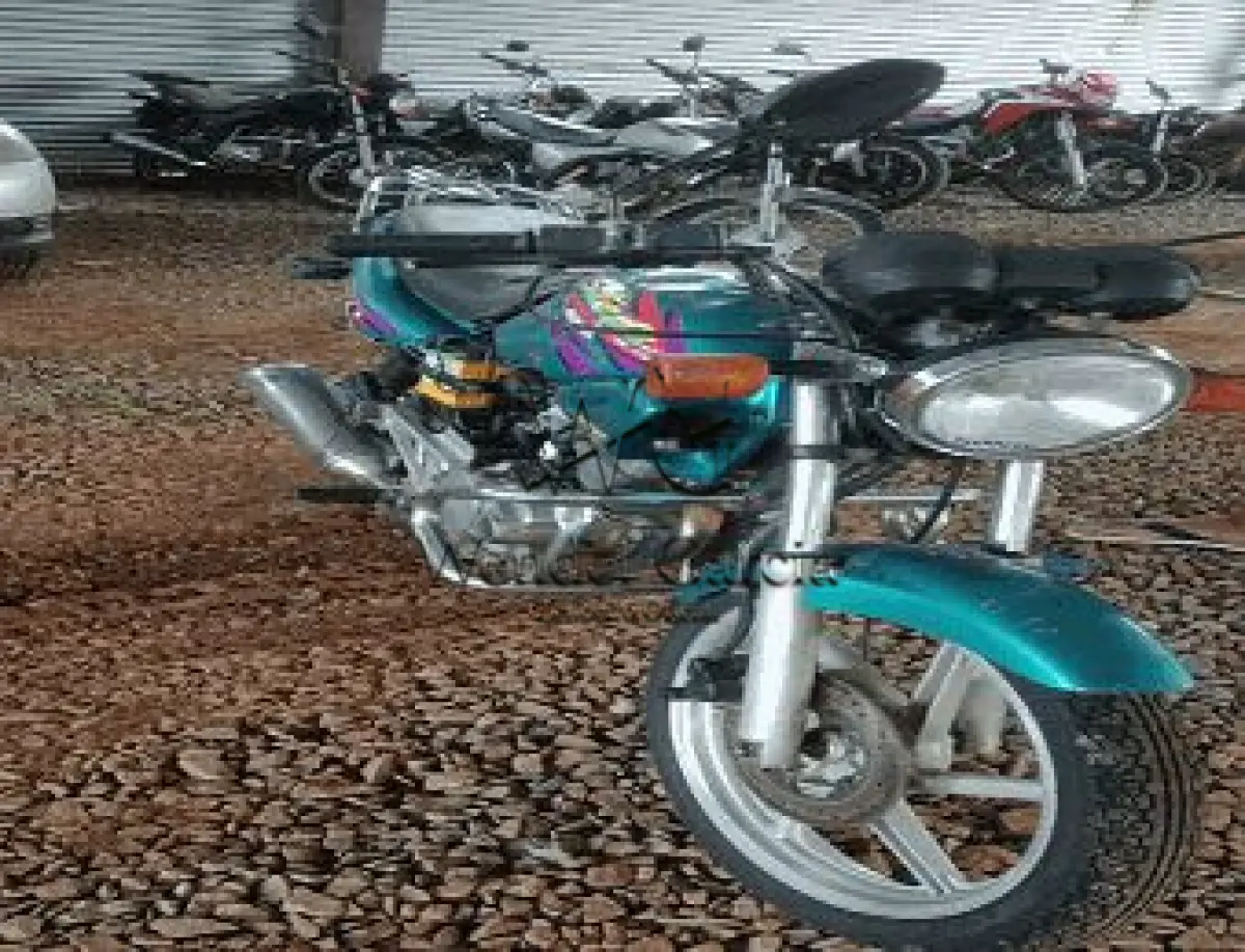 LOTE 3576