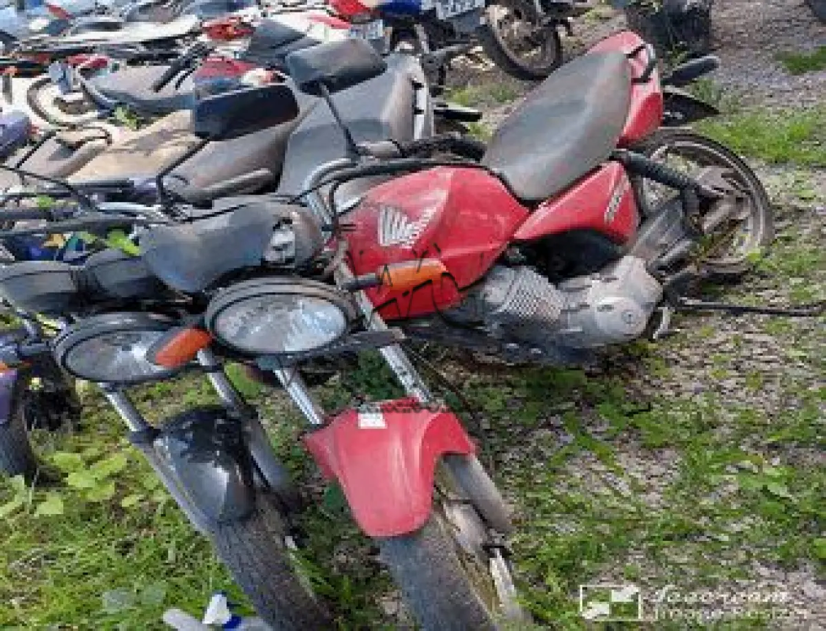 LOTE 3560