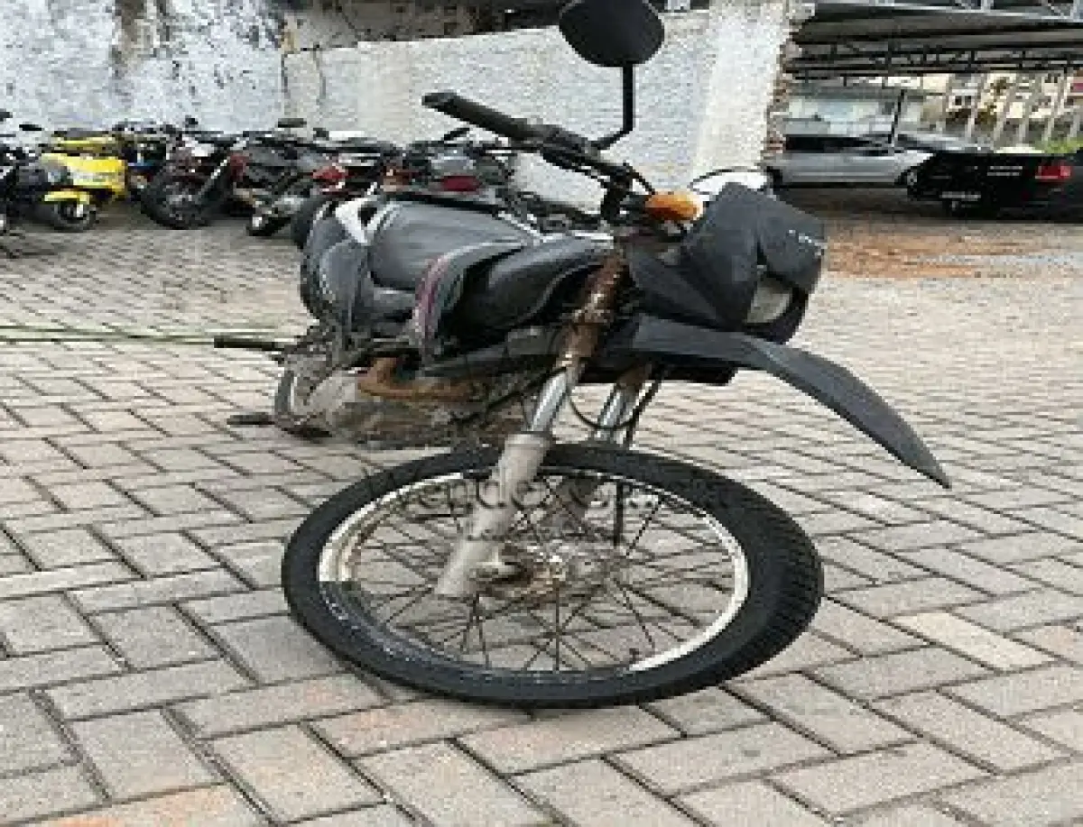 LOTE 3598