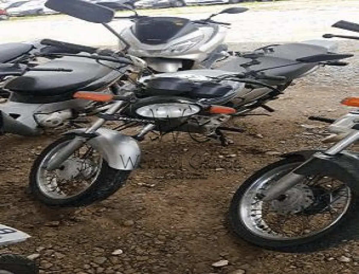 LOTE 3509
