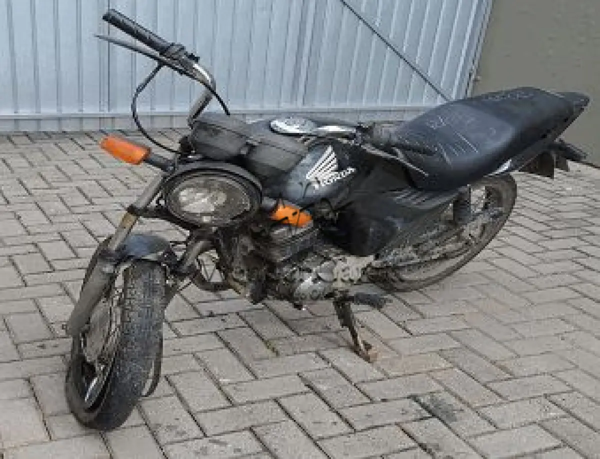 LOTE 3588