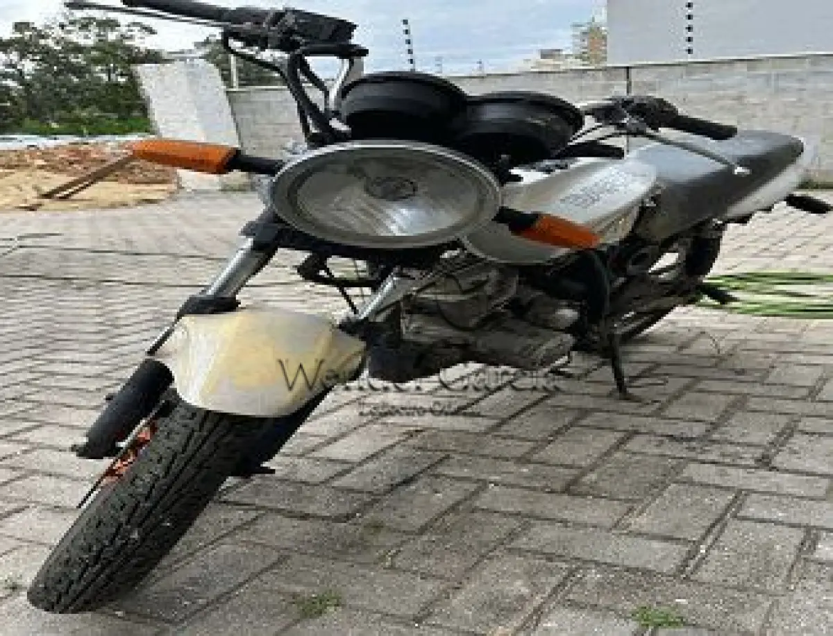 LOTE 3596
