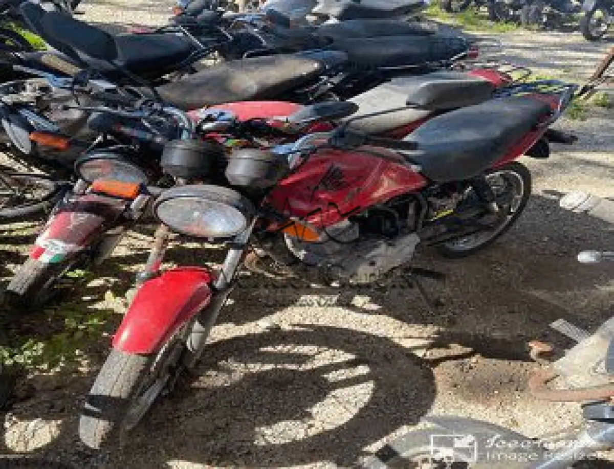 LOTE 3555