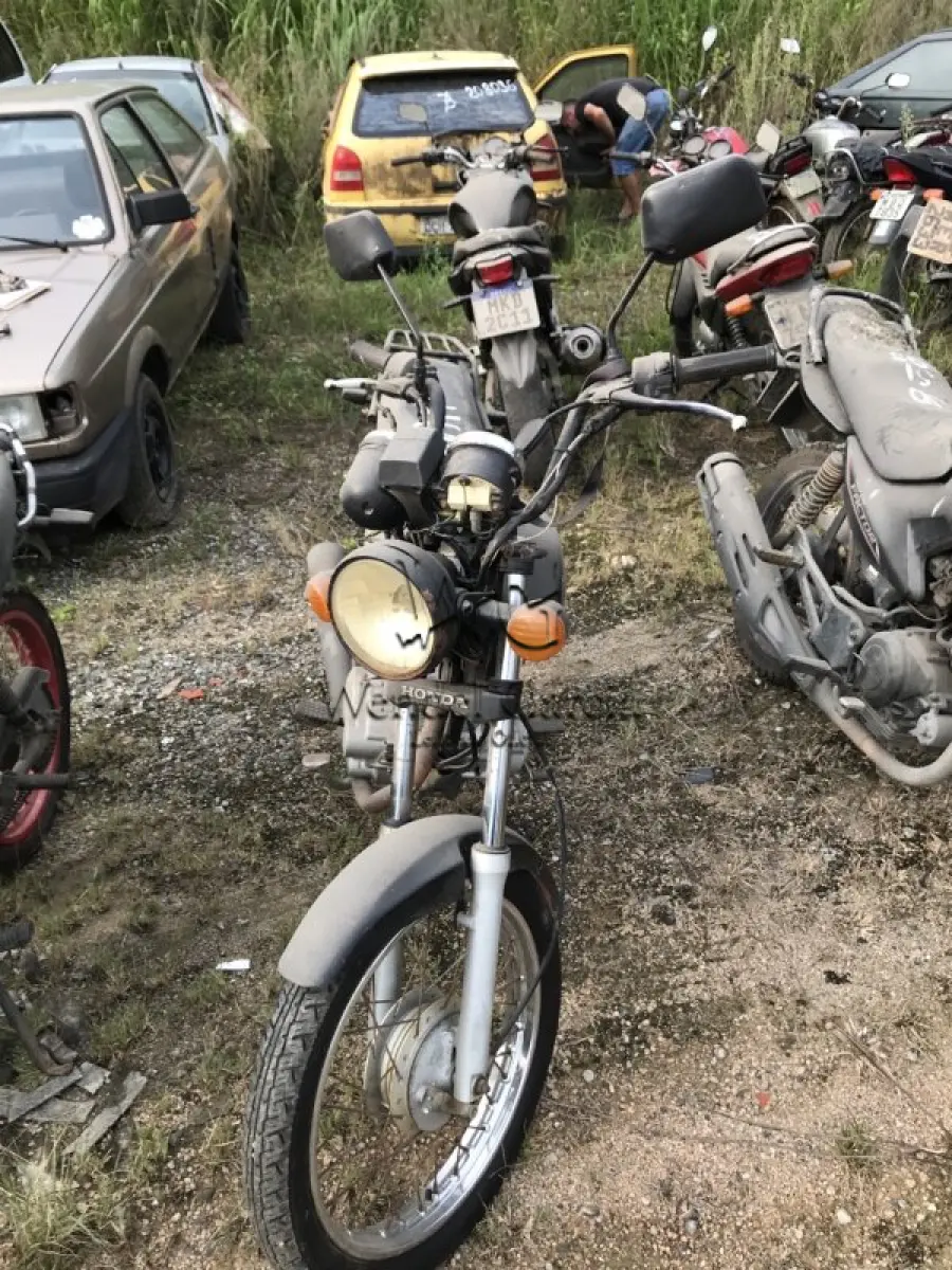 LOTE 0191