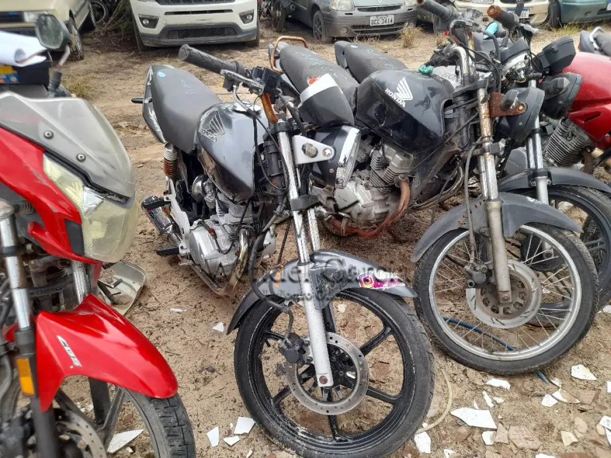 LOTE 0141