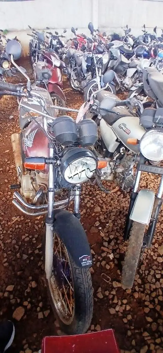 LOTE 0228
