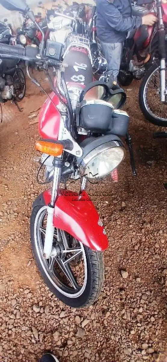 LOTE 0246