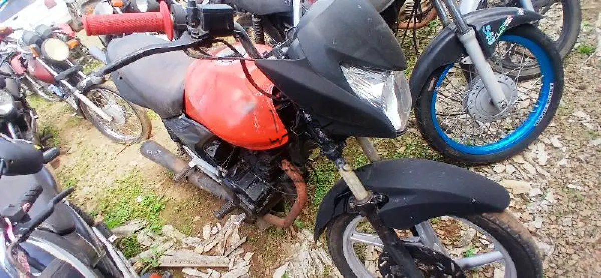 LOTE 0424