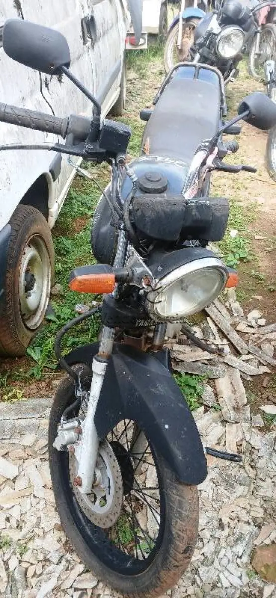 LOTE 0419