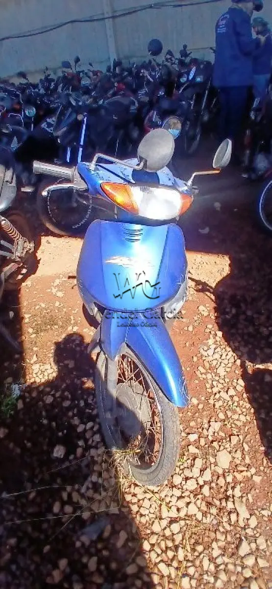LOTE 0264
