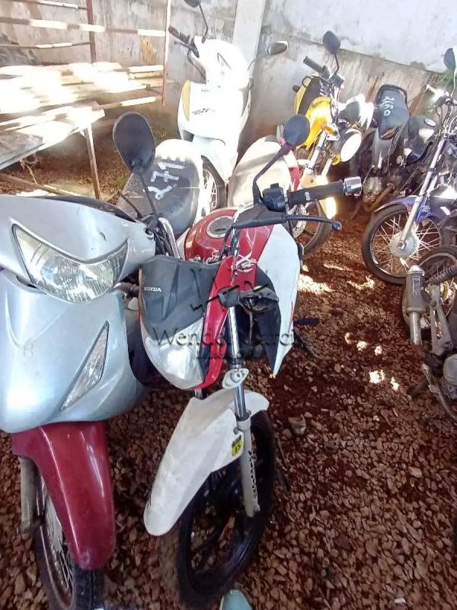 LOTE 0224