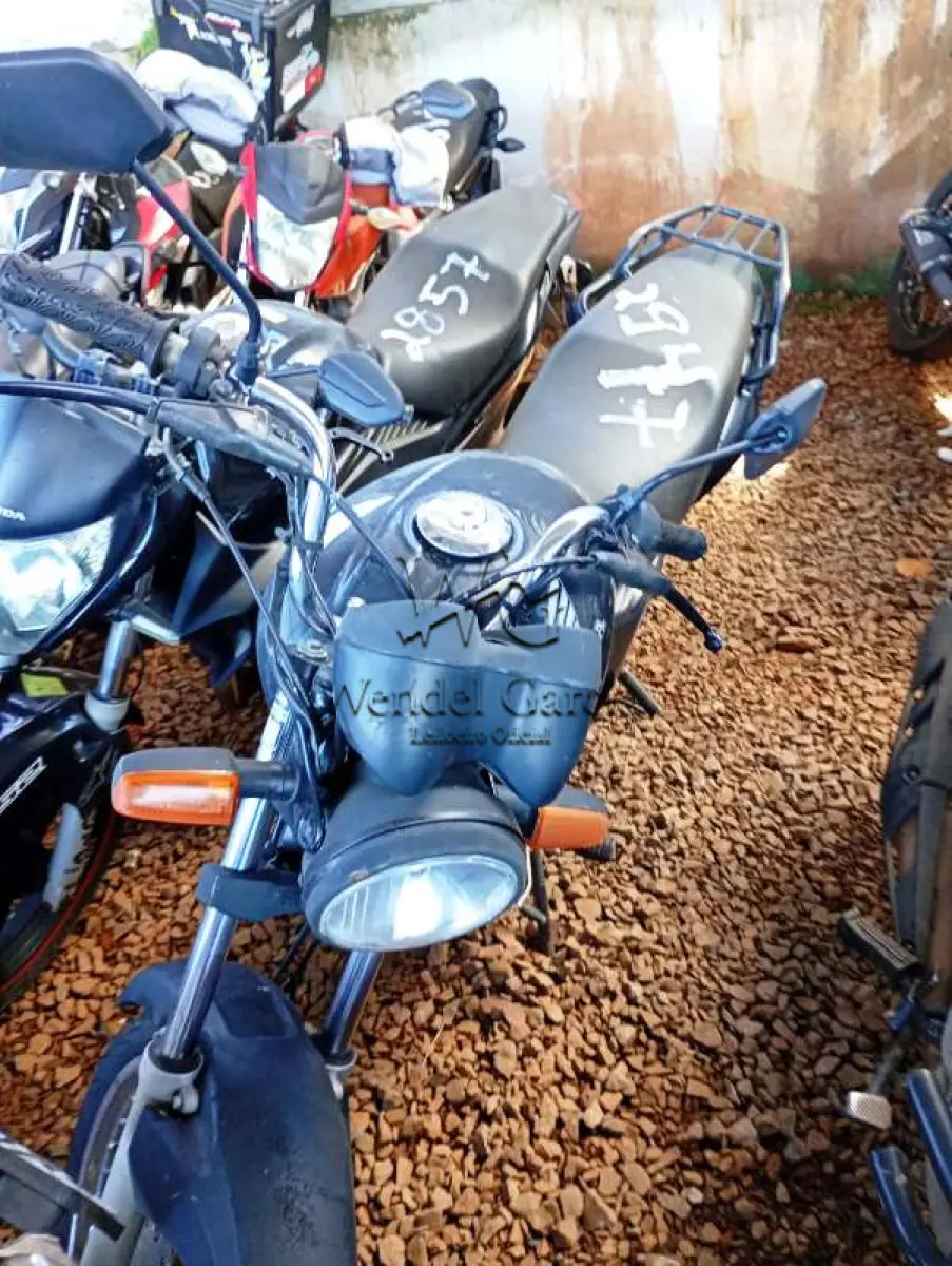 LOTE 0267