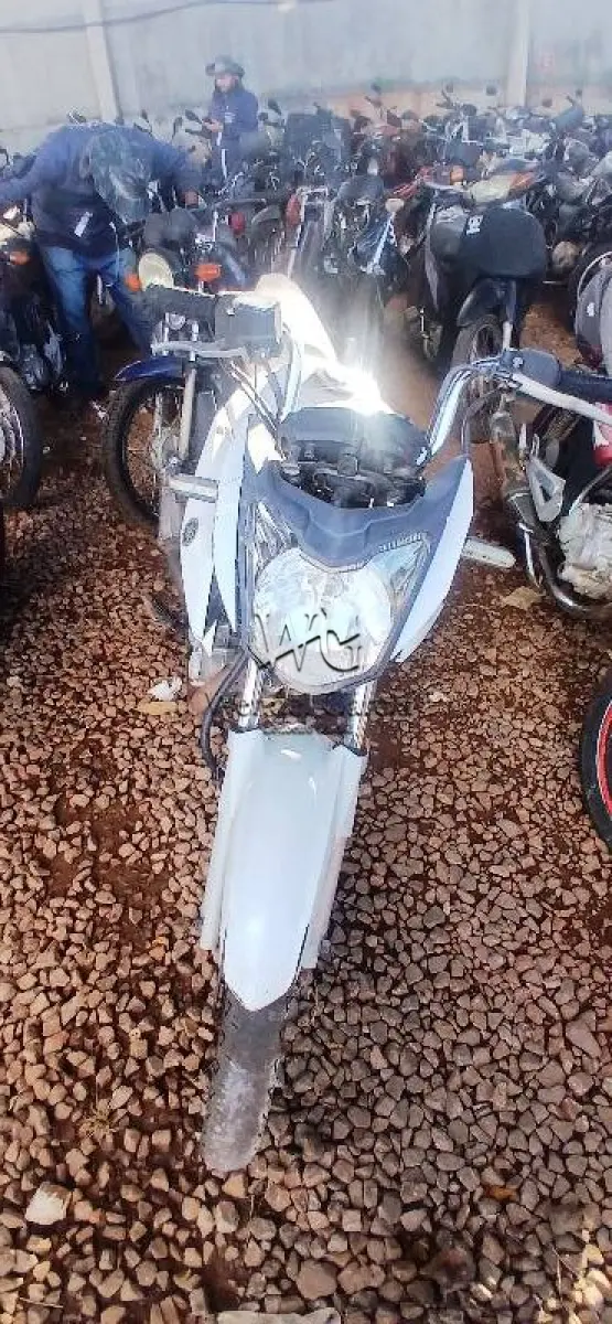 LOTE 0259