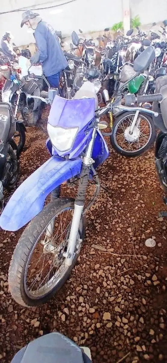 LOTE 0247