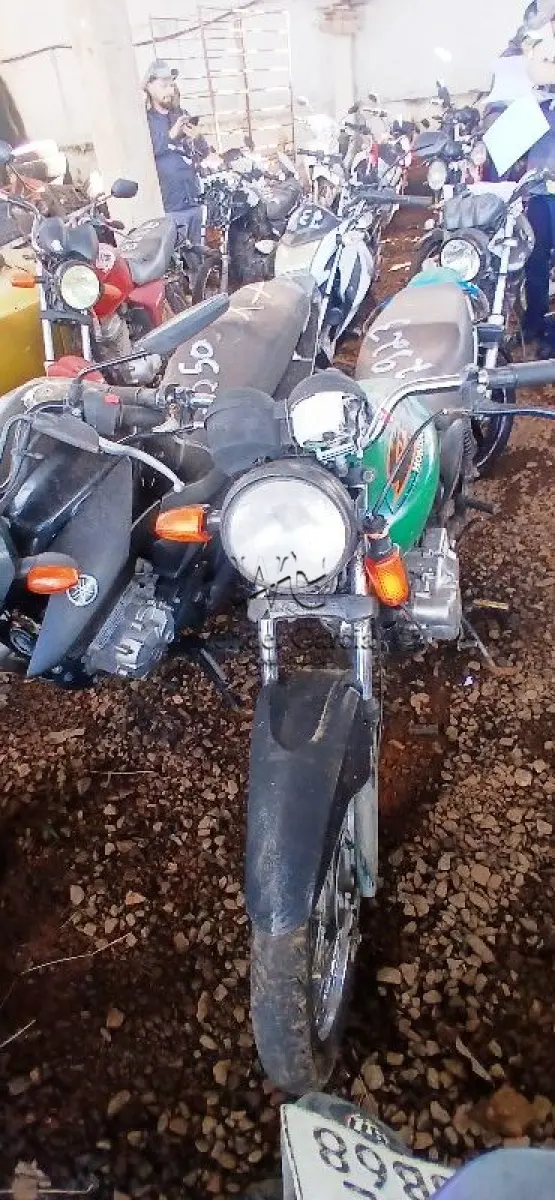 LOTE 0265