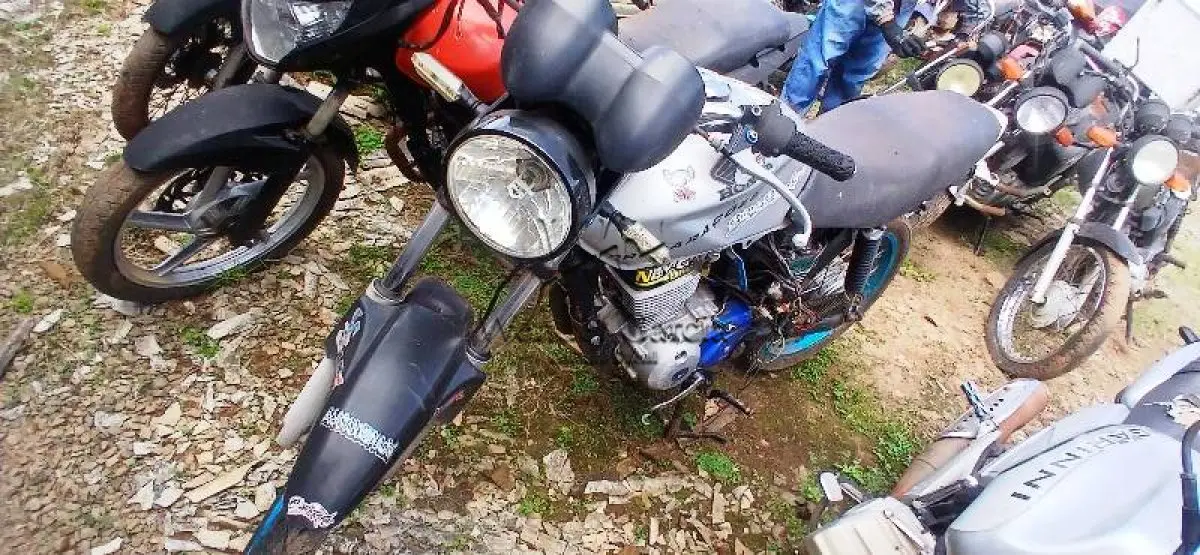 LOTE 0425