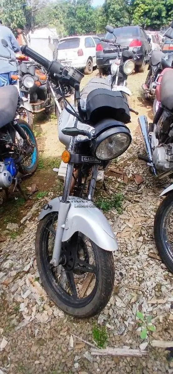 LOTE 0423