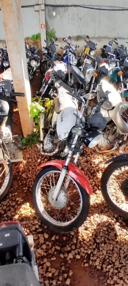 LOTE 0255