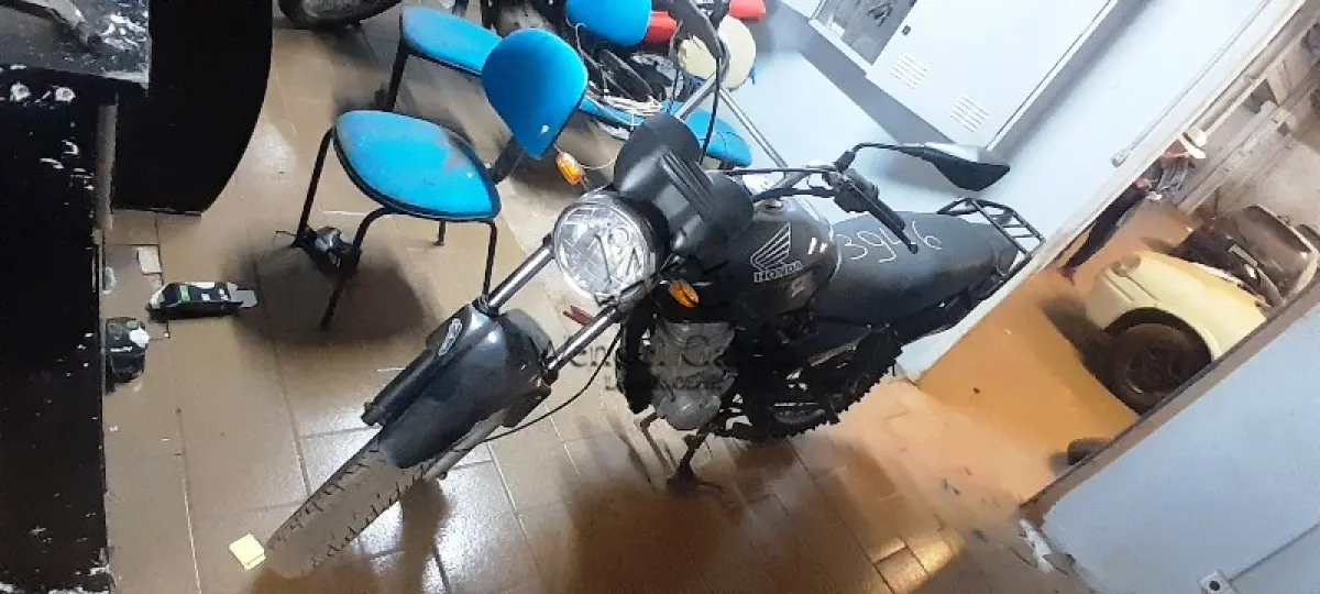 LOTE 0456