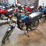 Foto 1