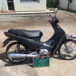Foto 7