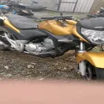 Foto 1