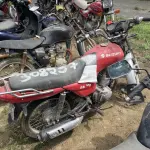 Foto 4