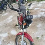 Foto 1