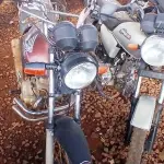 Foto 1