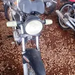 Foto 1