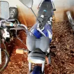 Foto 11
