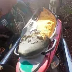 Foto 4