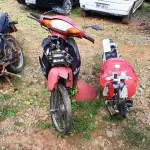 Foto 15