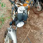 Foto 5