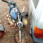 Foto 1