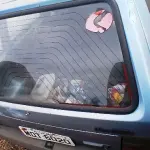 Foto 8