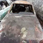 Foto 10