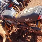 Foto 4