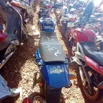 Foto 8